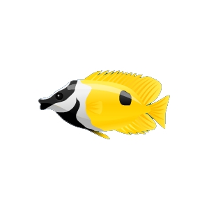 Exotic Butterflyfish